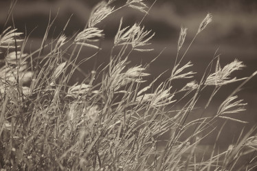 Similar image 9111790