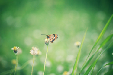 Similar image 9111792