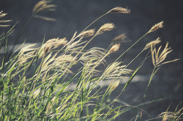 Similar image 9111796