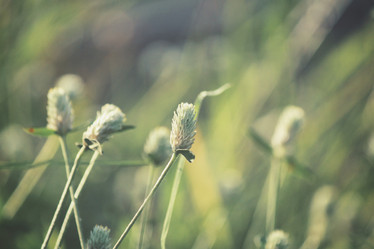 Similar image 9111798