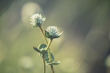 Similar image 9111803