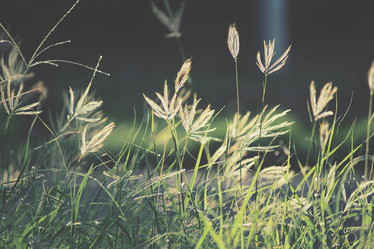 Similar image 9111805