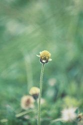 Similar image 9111807