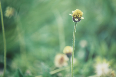 Similar image 9111809