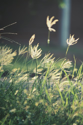 Similar image 9111811