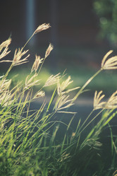 Similar image 9111813