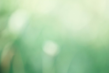 Similar image 9111817