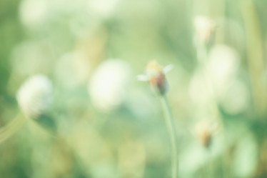 Similar image 9111821