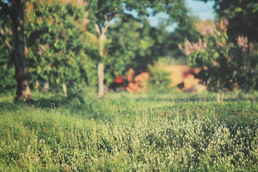 Similar image 9111901