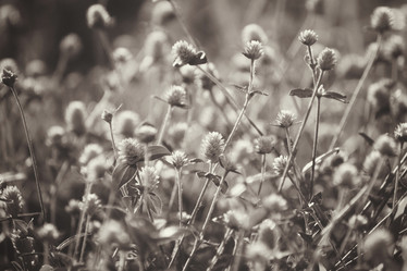 Similar image 9111902