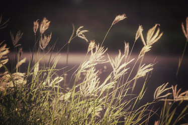 Similar image 9111904