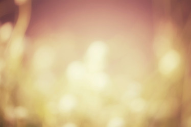 Similar image 9111917