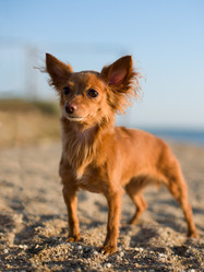 Similar image 9112024