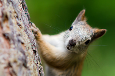 Similar image 9112040