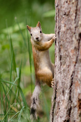 Similar image 9112044