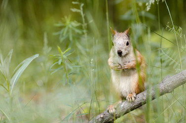 Similar image 9112056