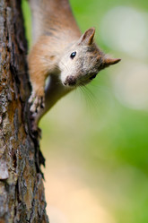 Similar image 9112152