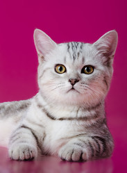 Similar image 9112156