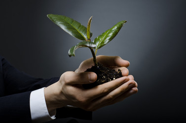 Similar image 9112249