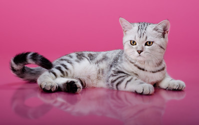 Similar image 9112371