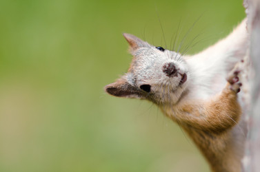 Similar image 9112500