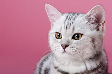 Similar image 9112506