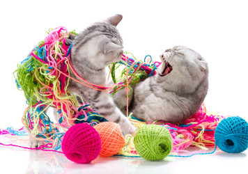 Similar image 9112868