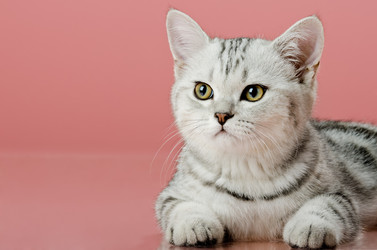 Similar image 9112973