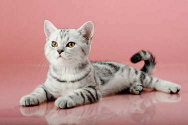 Similar image 9112975