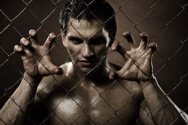 Similar image 9113111