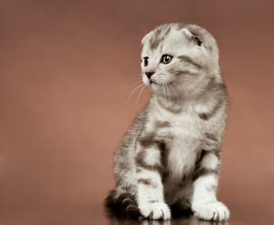 Similar image 9113297