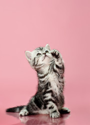 Similar image 9113722