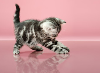 Similar image 9113724