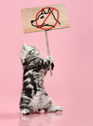 Similar image 9113726