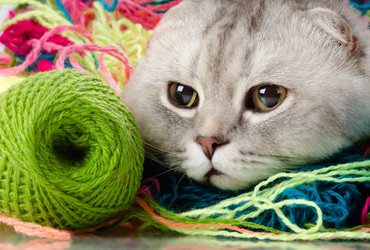 Similar image 9113729