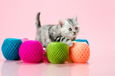 Similar image 9113731