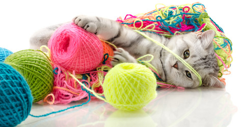 Similar image 9113733