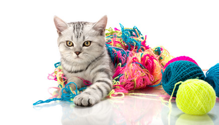 Similar image 9113738