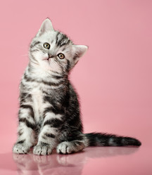 Similar image 9113742