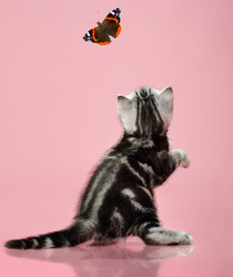 Similar image 9113744