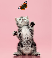 Similar image 9113747