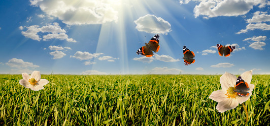 Similar image 9113751