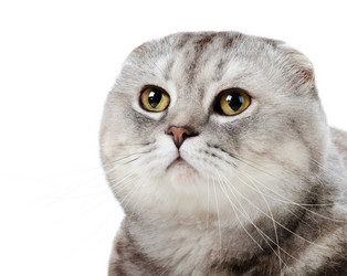 Similar image 9113753