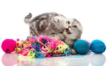 Similar image 9113761