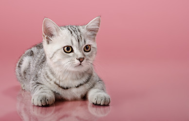 Similar image 9113763