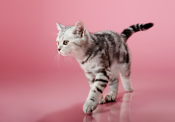 Similar image 9113765