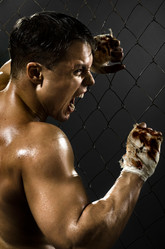 Similar image 9114153