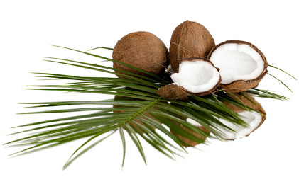 Similar image 9114554