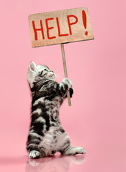 Similar image 9114574