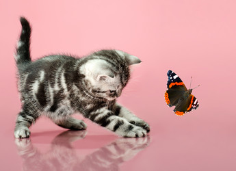 Similar image 9115005